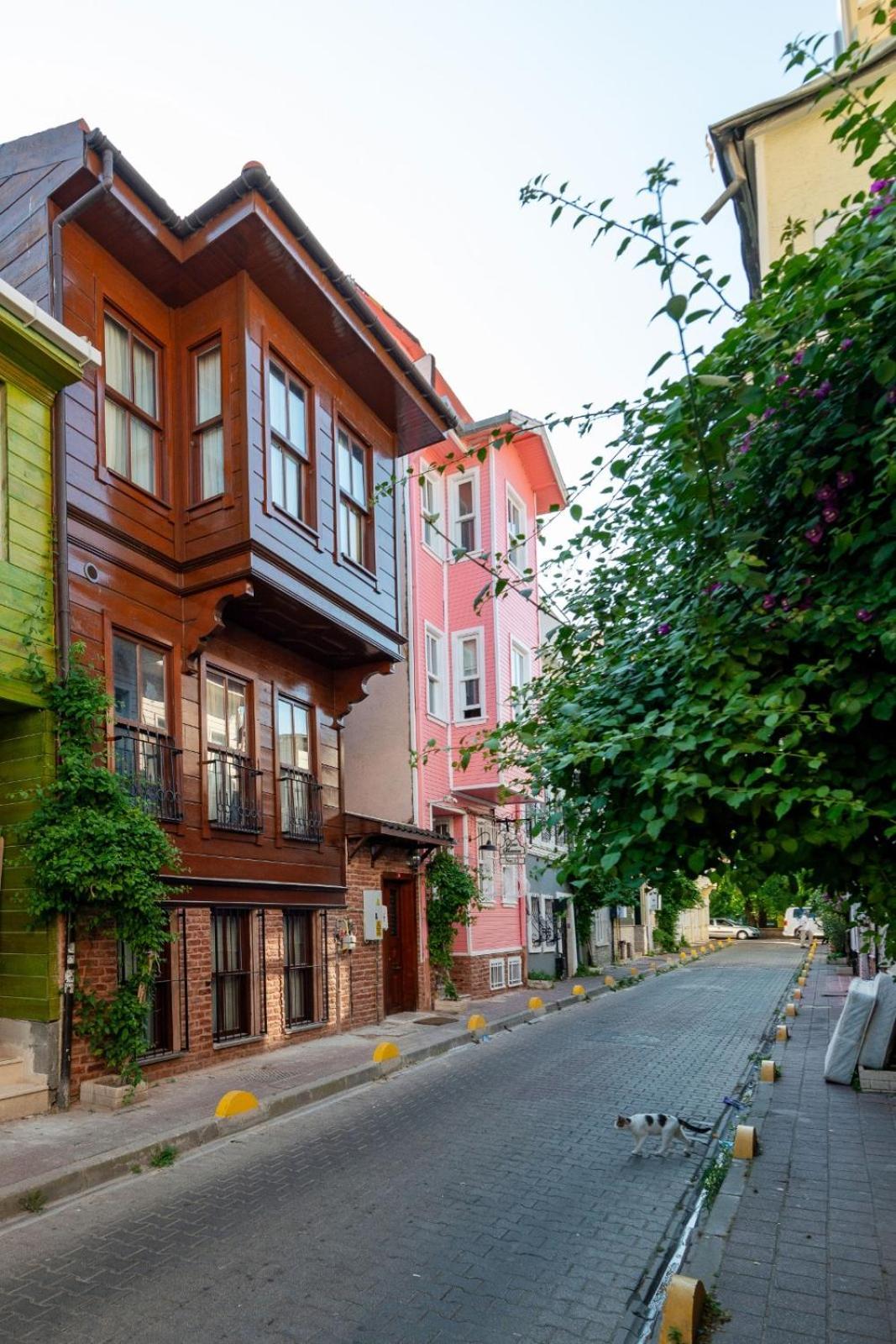 Brown Mansion Oldcity Istanbul Luaran gambar